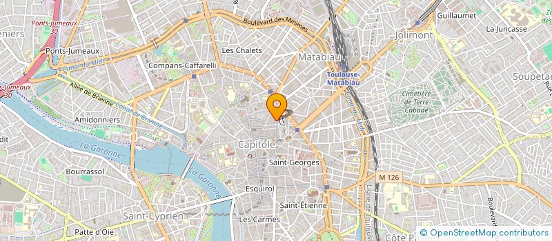 localisation de l'entreprise MADAME CECILE BLACHON  TOULOUSE