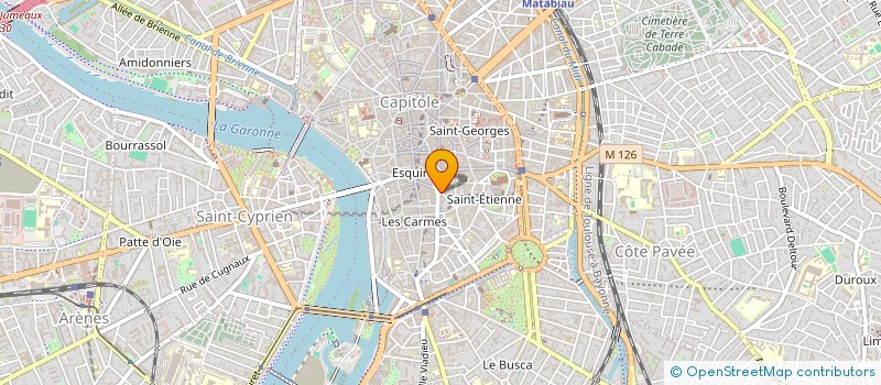 localisation de l'entreprise MADAME CECILE BRANDELY  TOULOUSE