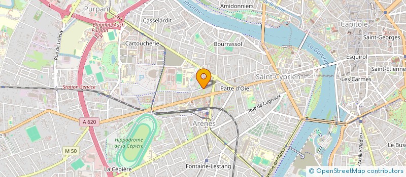 localisation de l'entreprise MADAME CECILE BRICAULT  TOULOUSE