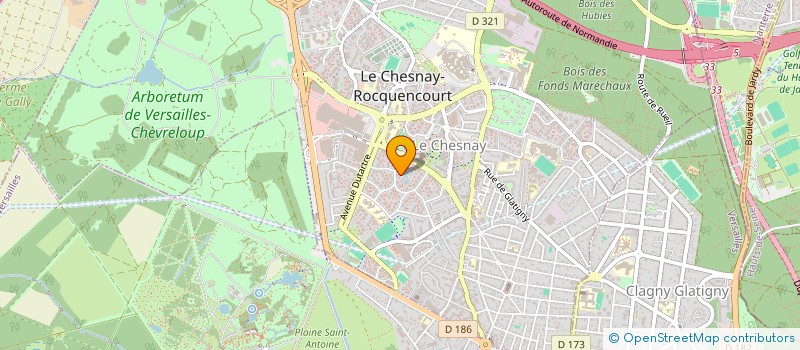 localisation de l'entreprise MADAME CECILE CARREGA  LE CHESNAY-ROCQUENCOURT