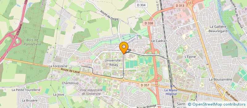 localisation de l'entreprise MADAME CECILE CHASTEL  LE MANS