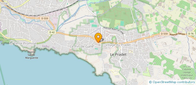 localisation de l'entreprise MADAME CECILE CRENON à LE PRADET