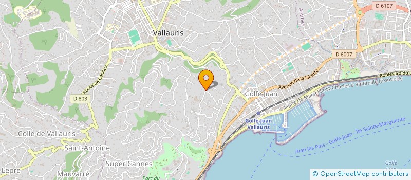 localisation de l'entreprise MADAME CECILE DAMIANO  VALLAURIS