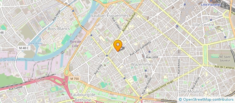 localisation de l'entreprise MADAME CECILE DERUY à LILLE