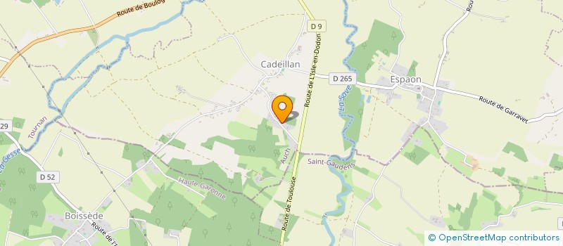 localisation de l'entreprise MADAME CECILE DUBOIS  BLAGNAC