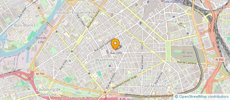 localisation de l'entreprise MADAME CECILE DUFOUR à LILLE
