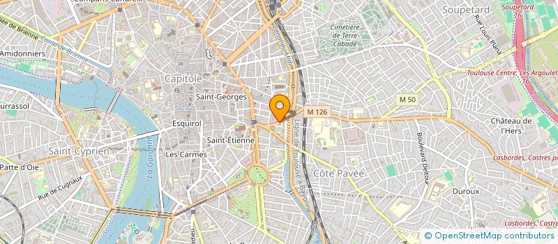 localisation de l'entreprise MADAME CECILE FAYE  TOULOUSE