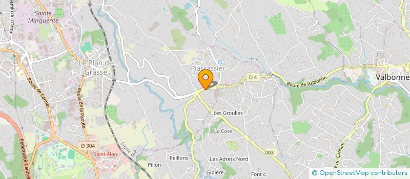 localisation de l'entreprise MADAME CECILE JACQUEMIN  GRASSE