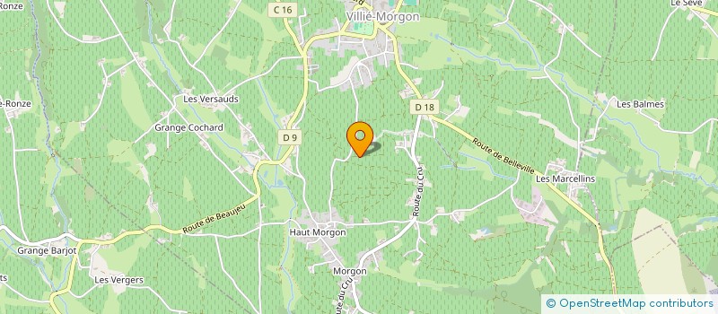 localisation de l'entreprise MADAME CECILE JONCHET  VILLIE-MORGON