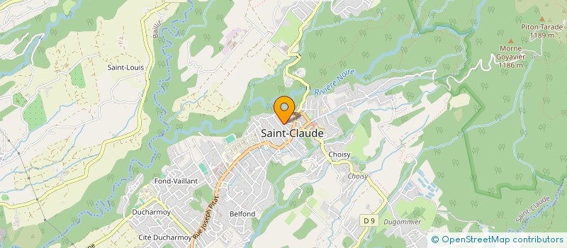 localisation de l'entreprise MADAME CECILE LETANG à SAINT-CLAUDE