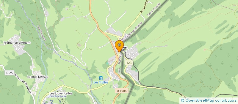 localisation de l'entreprise MADAME CECILE LEYDER  LES ROUSSES