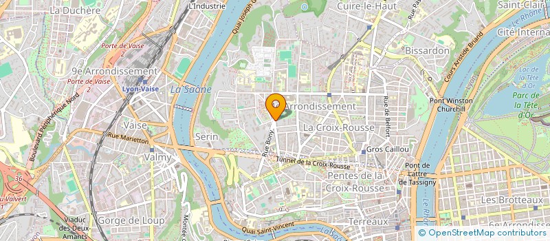 localisation de l'entreprise MADAME CECILE MERCURE  LYON