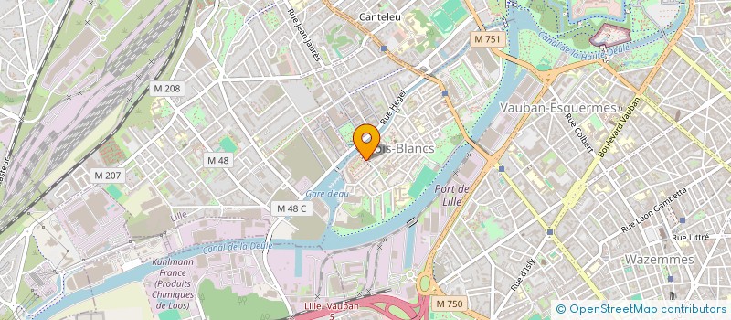 localisation de l'entreprise MADAME CECILE MEURILLON à LILLE