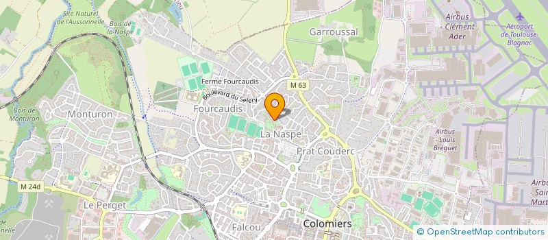 localisation de l'entreprise MADAME CECILE NICOLLE à COLOMIERS