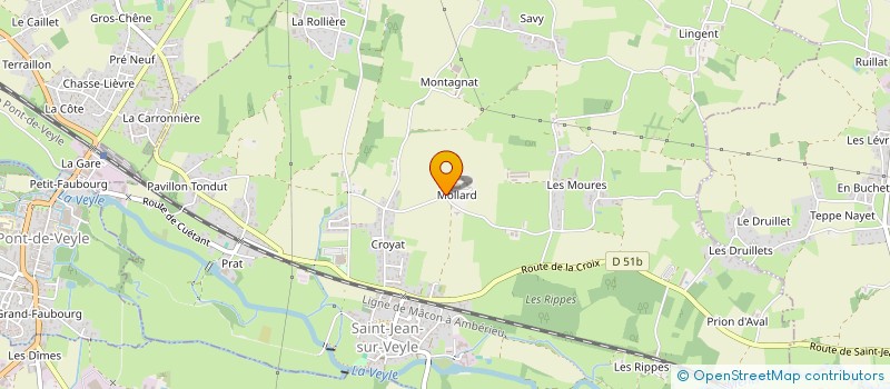 localisation de l'entreprise MADAME CECILE OLLAGNON  SAINT-JEAN-SUR-VEYLE