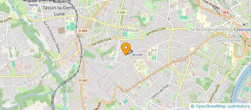localisation de l'entreprise MADAME CECILE PERETZ à LYON