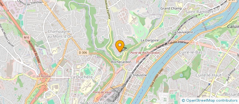 localisation de l'entreprise MADAME CECILE RICAUD  SAINT-DIDIER-AU-MONT-D'OR