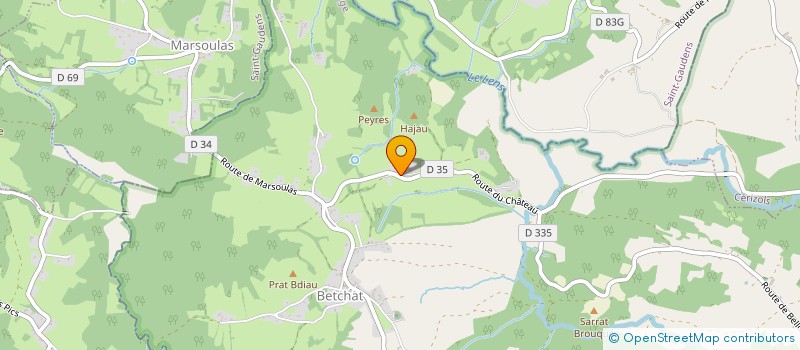 localisation de l'entreprise MADAME CECILE RIEU à BETCHAT