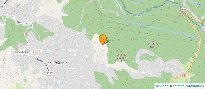 localisation de l'entreprise MADAME CECILE RODE  MONTAUROUX