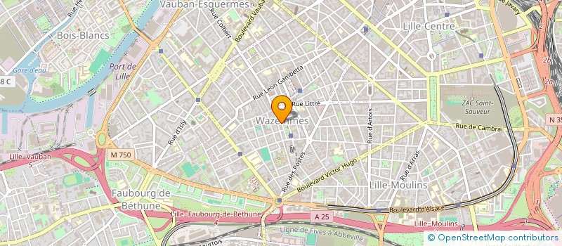 localisation de l'entreprise MADAME CECILE ROUSSEL à LILLE