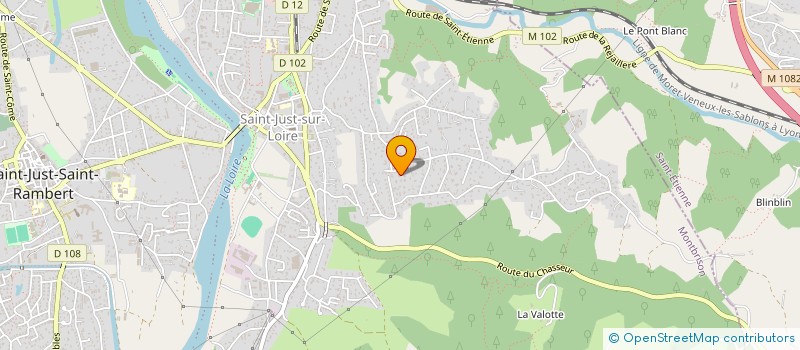 localisation de l'entreprise MADAME CECILE RUARD  SAINT-JUST-SAINT-RAMBERT