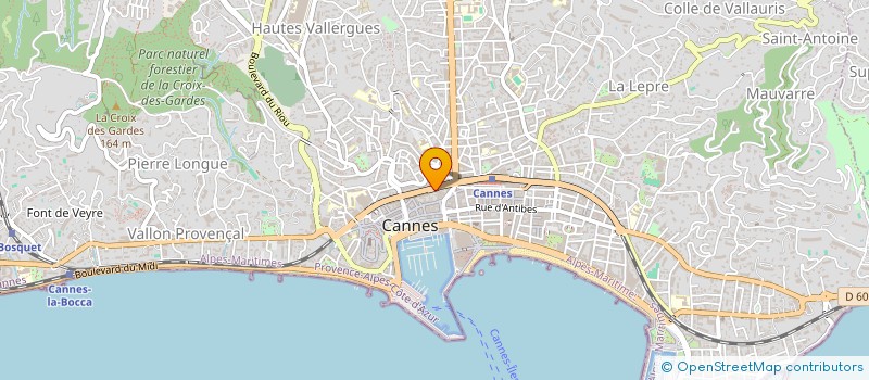 localisation de l'entreprise MADAME CECILE SZCZEPANIAK à CANNES