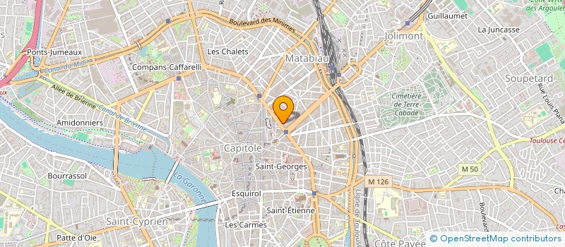 localisation de l'entreprise MADAME CECILE TROUCHAUD à TOULOUSE