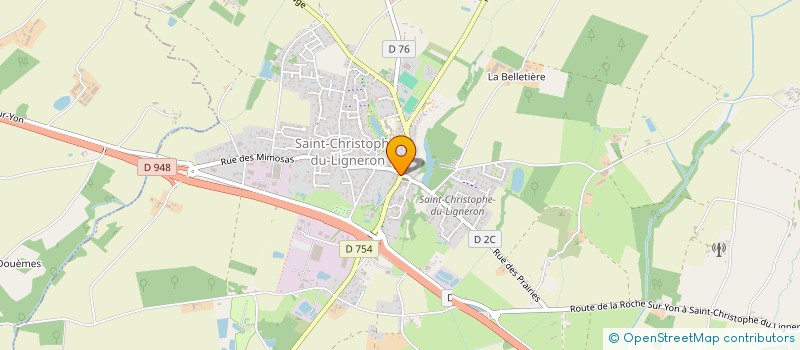 localisation de l'entreprise MADAME CECILIA BESSONNET  SAINT-CHRISTOPHE-DU-LIGNERON