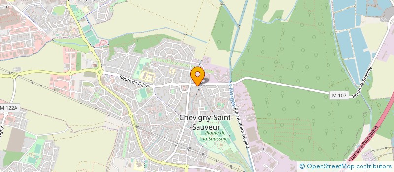 localisation de l'entreprise MADAME CECILIA CHANLON à CHEVIGNY-SAINT-SAUVEUR