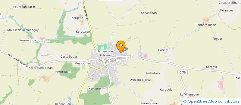 localisation de l'entreprise MADAME CECILIA STURNY  PLOUMOGUER