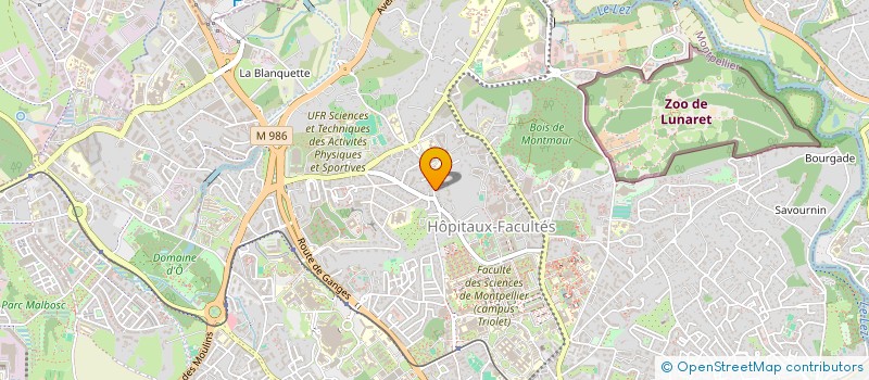localisation de l'entreprise MADAME CECILLIA DEGIOVANNI à MONTPELLIER