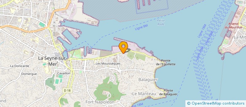 localisation de l'entreprise MADAME CEDRINE DUBOIS à LA SEYNE-SUR-MER