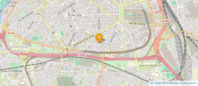 localisation de l'entreprise MADAME CELIA AIT SAID  LILLE