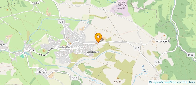 localisation de l'entreprise MADAME CELIA ARTUS  SAINTE-RADEGONDE