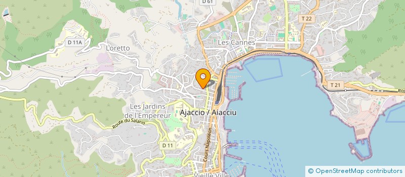 localisation de l'entreprise MADAME CELIA CRISTINA MONTEIRO SEARA à AJACCIO