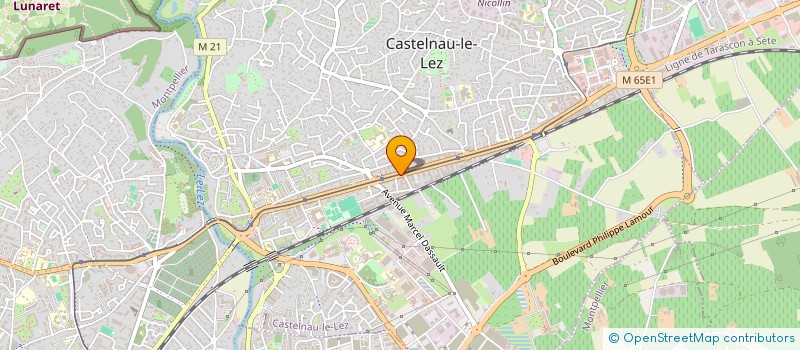 localisation de l'entreprise MADAME CELIA MANO à CASTELNAU-LE-LEZ