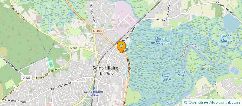 localisation de l'entreprise MADAME CELIA MARION  SAINT-HILAIRE-DE-RIEZ