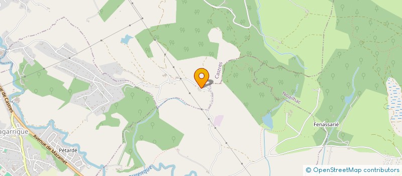 localisation de l'entreprise MADAME CELIA PIERRAT  CASTRES