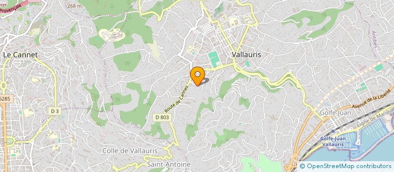 localisation de l'entreprise MADAME CELIA RUSSO  VALLAURIS