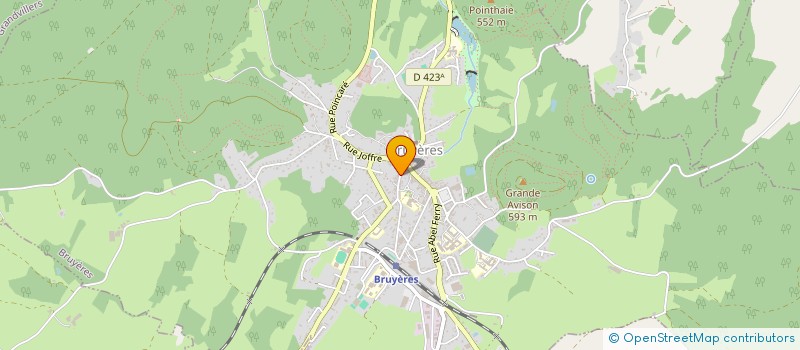 localisation de l'entreprise MADAME CELINA MASSON  BRUYERES