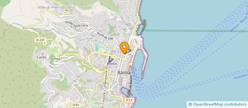 localisation de l'entreprise MADAME CELINE ALTINTAS à BASTIA