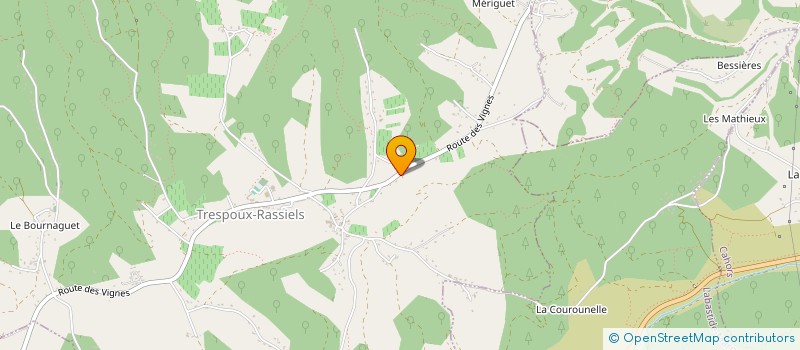 localisation de l'entreprise MADAME CELINE BERNARD  TRESPOUX-RASSIELS