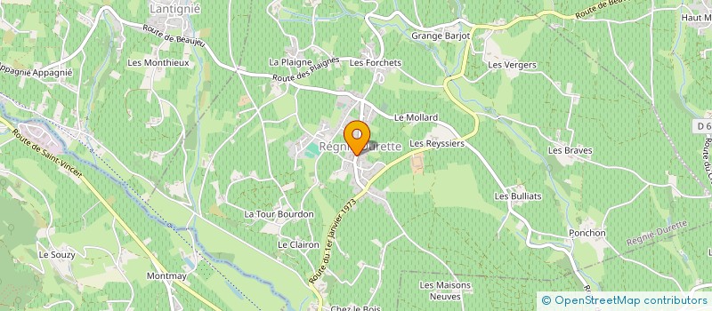 localisation de l'entreprise MADAME CELINE BLAIS  REGNIE-DURETTE