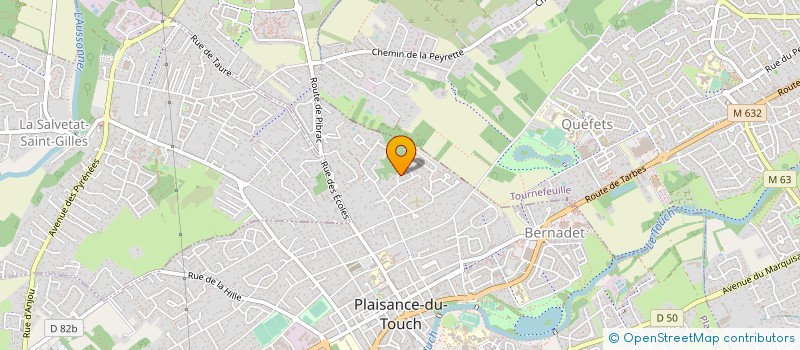 localisation de l'entreprise MADAME CELINE BLONDIN  PLAISANCE-DU-TOUCH