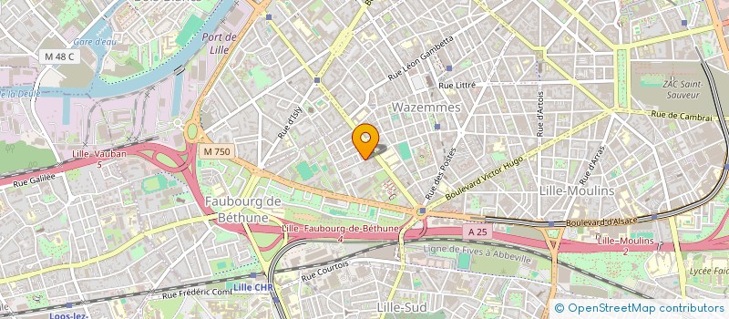localisation de l'entreprise MADAME CELINE BONNENFANT à LILLE