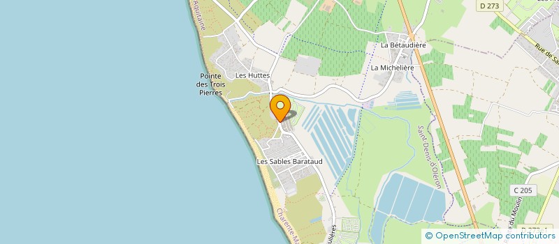 localisation de l'entreprise MADAME CELINE BONNIN  SAINT-DENIS-D'OLERON