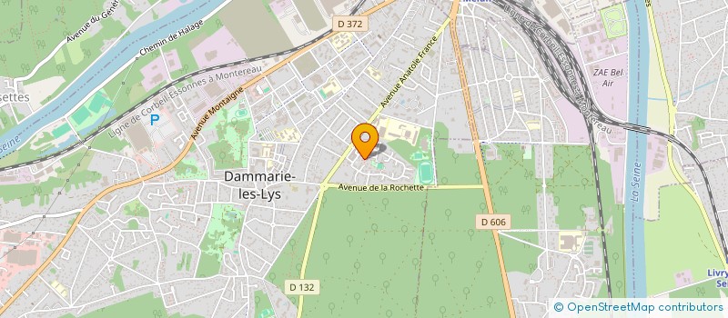 localisation de l'entreprise MADAME CELINE BOUCHON à DAMMARIE-LES-LYS