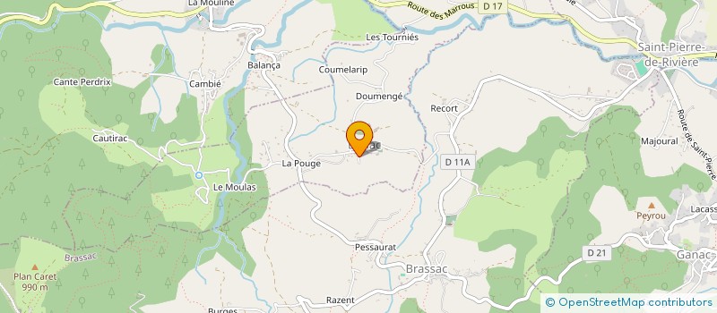 localisation de l'entreprise MADAME CELINE CACCIOLATI à BRASSAC