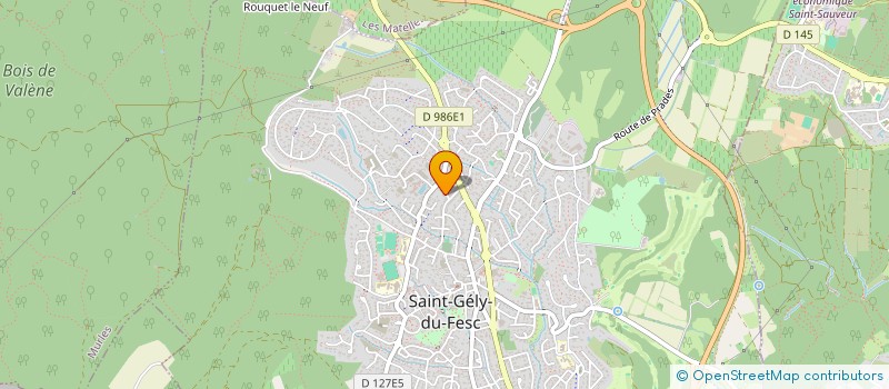 localisation de l'entreprise MADAME CELINE CHAMP  SAINT-GELY-DU-FESC