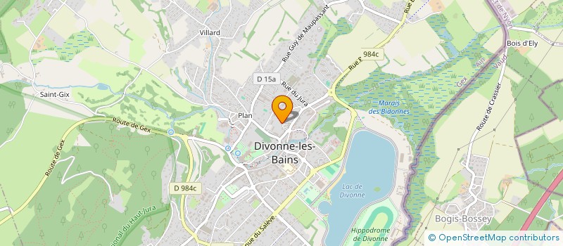 localisation de l'entreprise MADAME CELINE CHARLES  DIVONNE-LES-BAINS